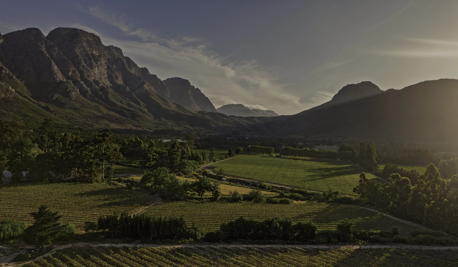 Stony Brook Wine Estate